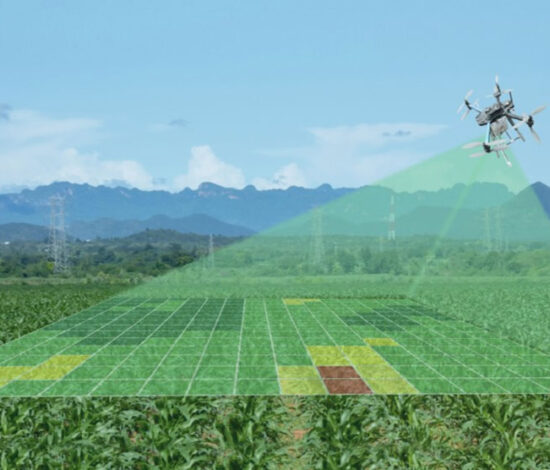 Master GIS for Agriculture in 30 Days