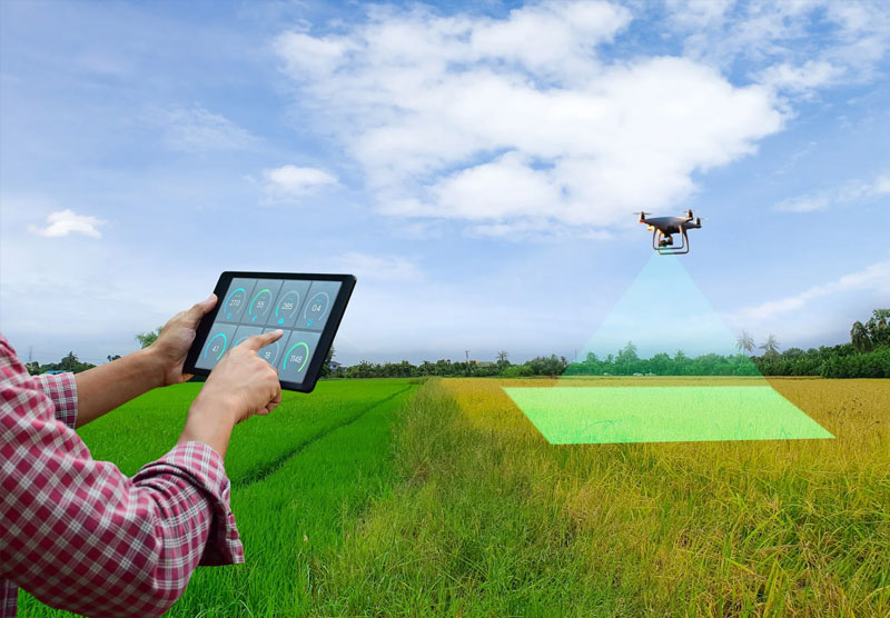 Master Training On Drone Data Processing